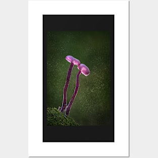 Amethyst Deceivers Posters and Art